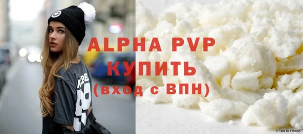 ГАЛЛЮЦИНОГЕННЫЕ ГРИБЫ Дмитриев