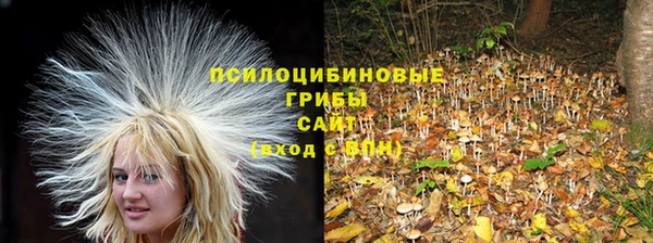 мдма Дмитровск
