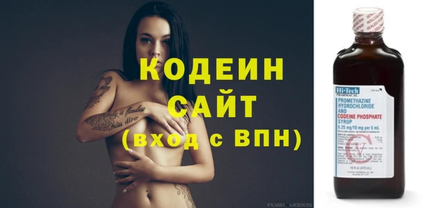 ГАЛЛЮЦИНОГЕННЫЕ ГРИБЫ Дмитриев