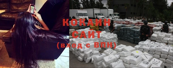 ГАЛЛЮЦИНОГЕННЫЕ ГРИБЫ Дмитриев